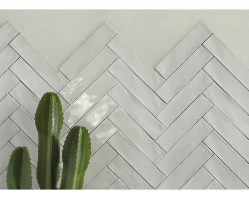 Hellgraue Keramikfliesen im Fischgrätenmuster mit Kaktus