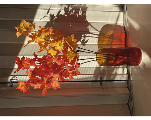 Feuilles d''automne décoratives dans un vase