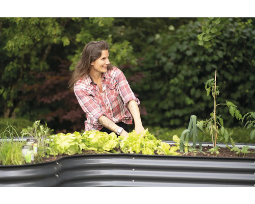 Frau pflegt Salat in einem Hochbeet im Garten.