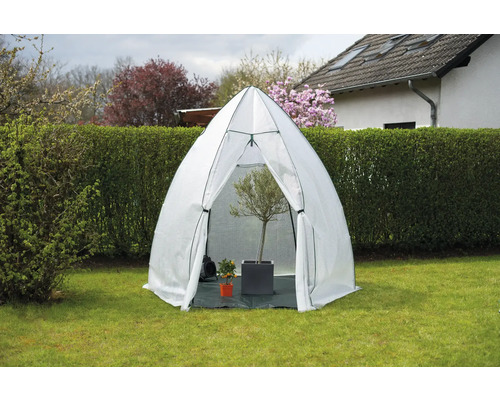 Gartenszene mit einem Folientunnel auf einer Rasenfläche