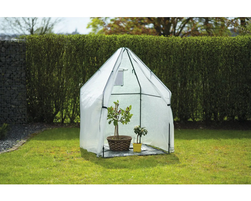 Kleingewächshaus im Garten mit zwei Pflanzen