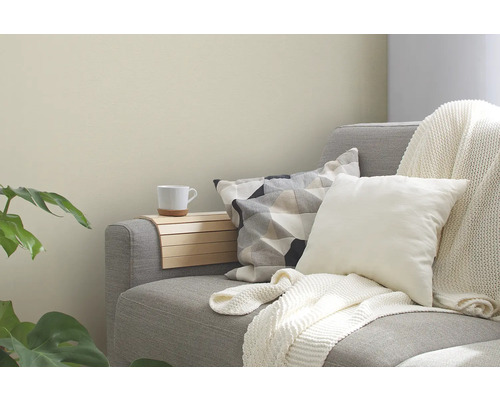 Salon décoratif avec canapé, coussins et table d''appoint