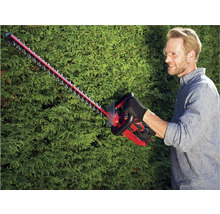 Homme taillant une haie avec un taille-haie sans fil