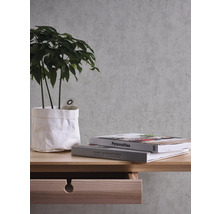 Plante d''intérieur décorative sur une table de chevet avec tiroir devant un mur gris