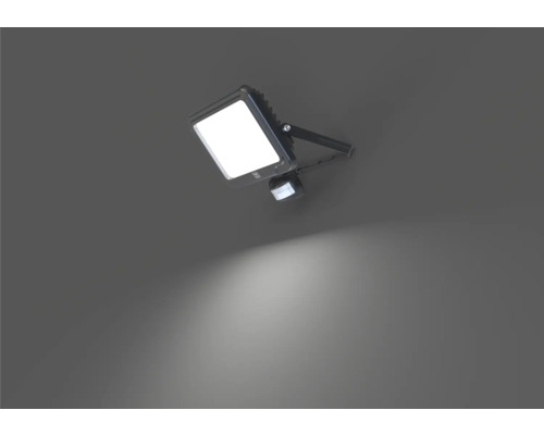 LED-Aussenstrahler mit Bewegungsmelder an einer Wand