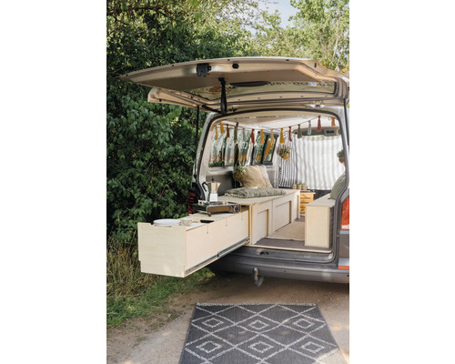 Ausgebauter Campingbus mit ausziehbarer Küchenzeile, Stauraum und Teppich