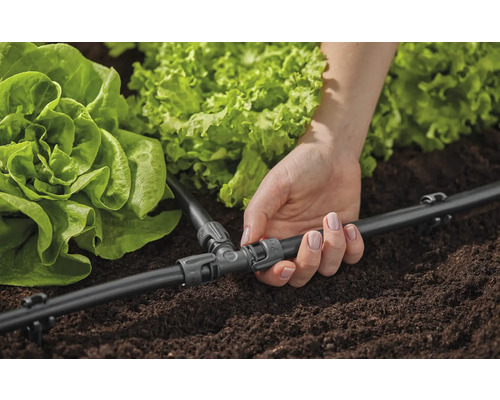 Système d''irrigation goutte à goutte avec raccord en T pour les plantes dans le jardin