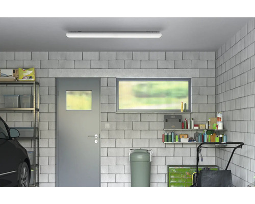 Garage avec étagères, porte, fenêtre et plafonnier.