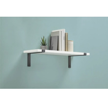 Wandregal mit Bücher und Dekoration