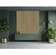 Wohnzimmer mit Akustikpaneel, Sideboard, Stehlampe, Uhr und Pflanzen