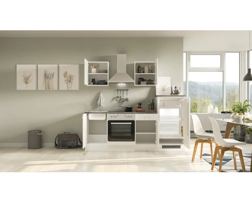 Cuisine compacte avec évier, cuisinière, four, hotte aspirante et réfrigérateur dans une cuisine moderne et lumineuse.