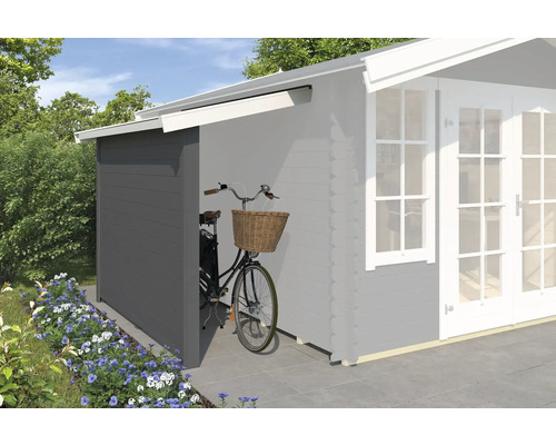 Toit en appentis Outdoor Life avec paroi latérale 90 x 220 cm gris carbone Abri de jardin avec abri à vélos et vélo