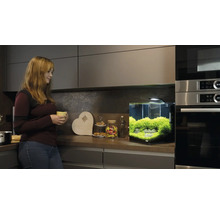 Aquarium avec végétation dans une cuisine moderne