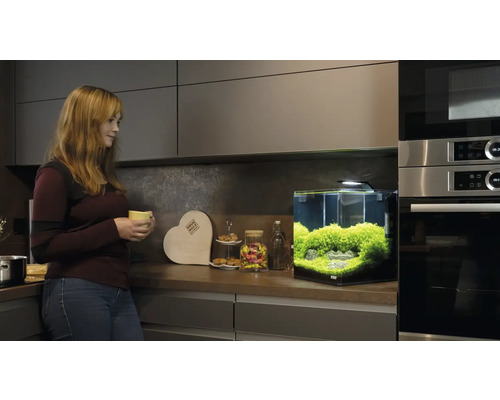 Aquarium mit Bepflanzung in moderner Küche