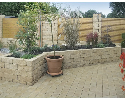 Aménagement de jardin avec pavés, plantes et un mur en bois