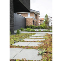 Dalle de terrasse en béton gris 30 x 30 x 4 cm-thumb-3