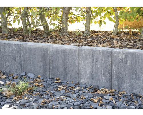 Aménagement paysager de jardin avec bordures de gazon grises et rangée d''arbres