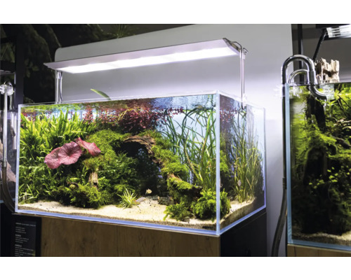 Aquarium AQUAEL UltraScape 90 mit LED Beleuchtung Ultra Slim 90, ca. 243 l, ca. 90 x 60 x 45 cm, OPTI-Glas, Weißglas, ohne Unterschrank Aquarium mit Wasserpflanzen und Beleuchtung