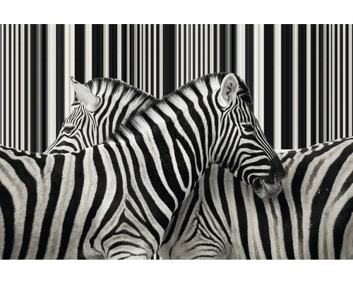 Gros plan de zèbres avec un motif rayé en arrière-plan