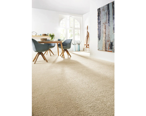 Heller Wohnraum mit Teppichboden, Esstisch und Stühlen