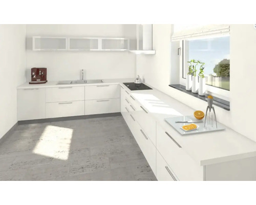 Cuisine claire avec armoires encastrées, évier, plaque de cuisson et hotte aspirante.