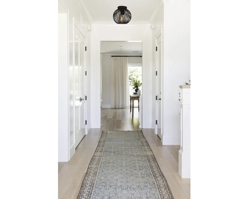 Couloir avec tapis, plafonnier et portes
