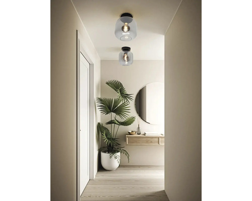 Flur mit zwei Deckenleuchten mit Glasschirm und einer Zimmerpflanze