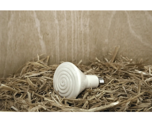 Keramik Heizstrahler für Tierhaltung auf Stroh