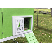 Vue détaillée d''un poulailler avec porte ouverte et rampe