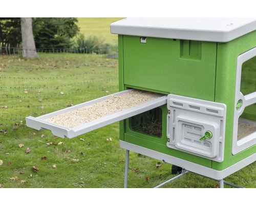 Poulailler vert avec mangeoire retirée dans le jardin