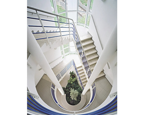 Ansicht von oben eines Treppenhauses mit Wendeltreppe und Pflanzenbeet