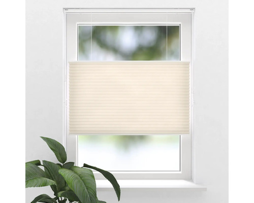 Fenêtre avec store plissé pour l''ombrage