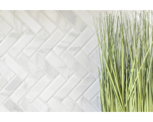 Gros plan d''un carrelage mural à chevrons avec une graminée ornementale