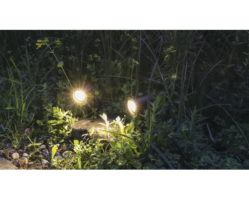 Deux projecteurs de jardin illuminent des plantes dans le jardin.