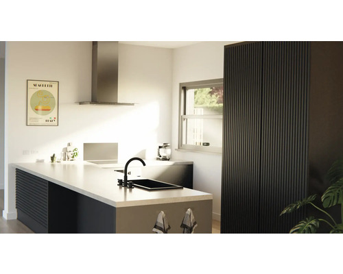 Vue de la cuisine avec îlot de cuisine, évier, hotte aspirante et armoire