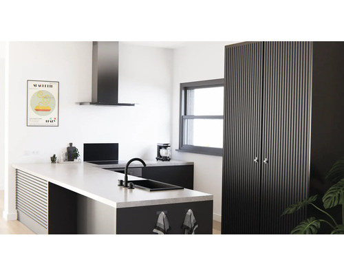 Cuisine moderne avec îlot de cuisine, hotte aspirante et armoire