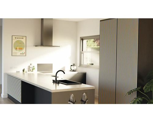 Cuisine moderne avec îlot de cuisine, évier, robinet, hotte aspirante et combiné réfrigérateur-congélateur.