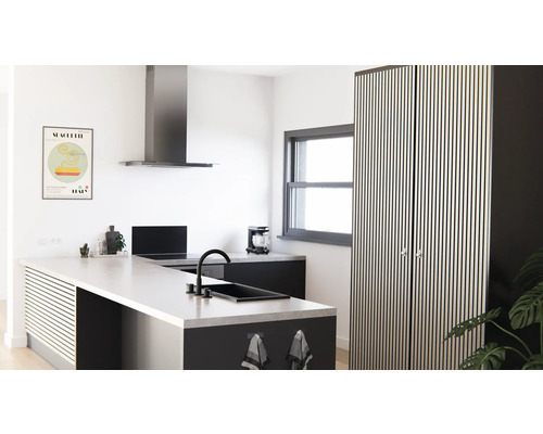 Cuisine moderne avec îlot de cuisine, hotte aspirante et armoire de rangement