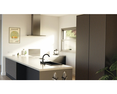 Cuisine claire avec îlot de cuisine, évier, hotte aspirante et armoire de rangement