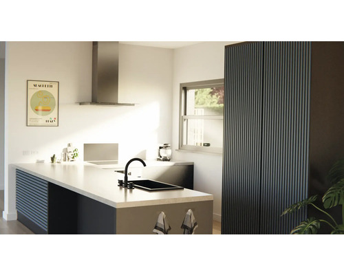 Cuisine claire avec îlot de cuisine, évier, hotte aspirante et armoire haute