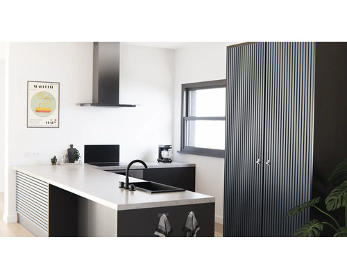 Cuisine moderne avec îlot de cuisson, hotte aspirante et armoire haute