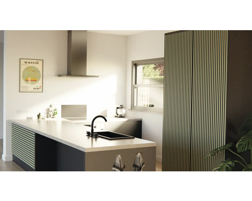 Cuisine claire avec îlot de cuisine, évier, hotte aspirante et armoire