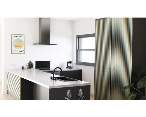 Cuisine moderne avec îlot de cuisine, hotte aspirante et armoire haute