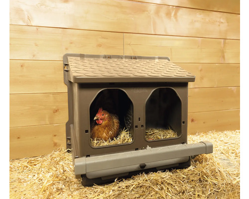 Hühnerstall mit Huhn im Inneren auf Stroh