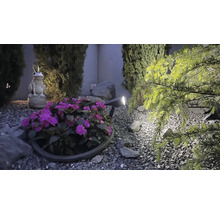 Gartenszene mit Teichfolie, Pflanzen, Steinfiguren und Gartenbeleuchtung für eine stimmungsvolle Atmosphäre.