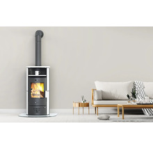 Poêle à bois avec conduit de fumée dans un salon