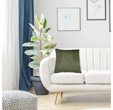 Dekoratives Wohnzimmer mit Sofa, Zimmerpflanze und Cordkissen.