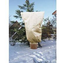 Eingepflanzte Fichte mit Winterschutzhülle