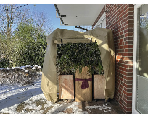 Plantes dans un voile d''hivernage sur une terrasse