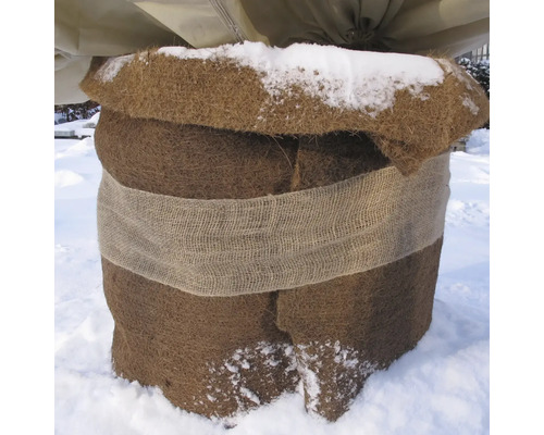 Plante emballée en hiver pour la protéger du froid et de la neige